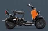 2011 Honda Ruckus photo